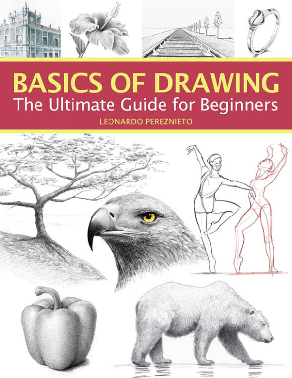 Basics of Drawing